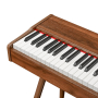 Цифровое пианино EMILY PIANO D-47 BR