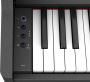Цифровое пианино Roland RP107 BKX