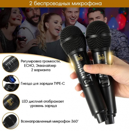 Караоке система с двумя радиомикрофонами  SDRD SD-319 Black