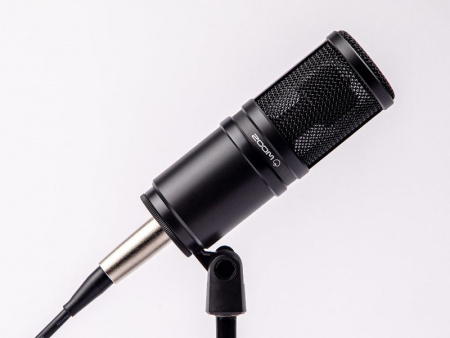 Микрофон студийный Zoom ZDM-1