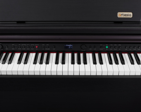 Цифровое пианино Artesia DP-10E Rosewood
