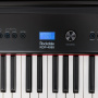 Цифровое пианино Rockdale RDP-4088 (Elegy) Black