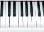 Цифровое пианино Opera Piano DP-145 Rosewood + Банкетка