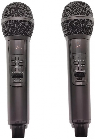 Караоке система с двумя радиомикрофонами  SDRD SD-319 Black