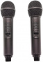 Караоке система с двумя радиомикрофонами  SDRD SD-319 Black